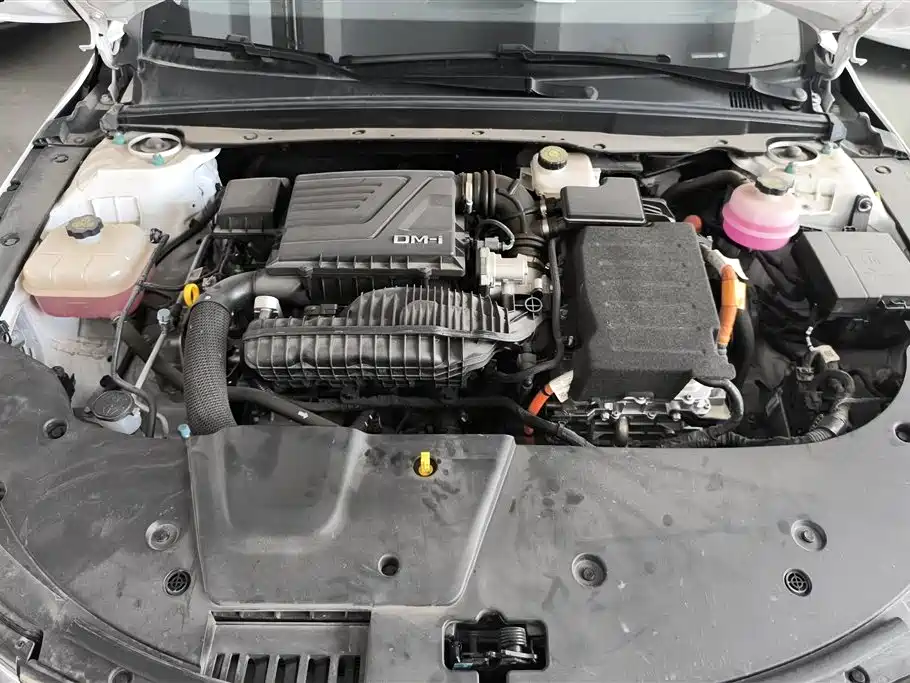 BYD Destroyer 05 2024 Glory Edition DM-i 55KM Luxury фото 10
