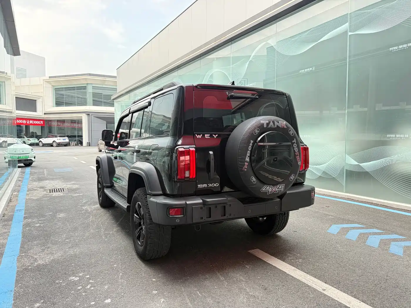 Tank 300 2021 2021 Off-road Version 2.0T Conqueror