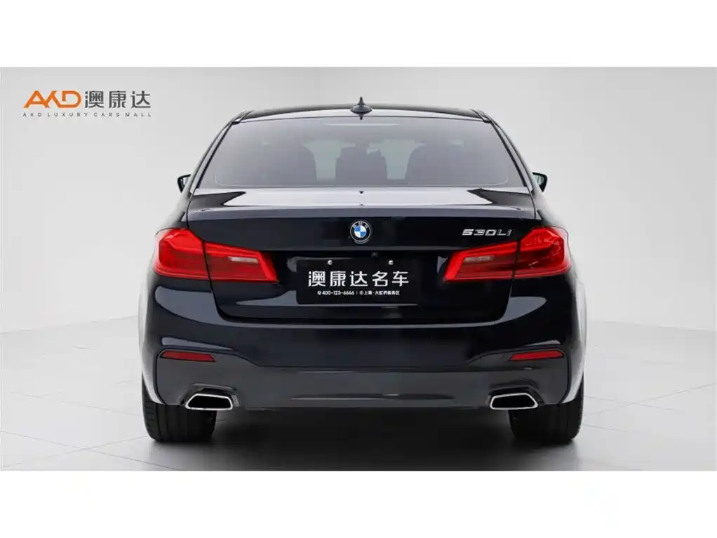 BMW 5 Series 2019 Facelift 530Li Premium M Sport Package фото 4