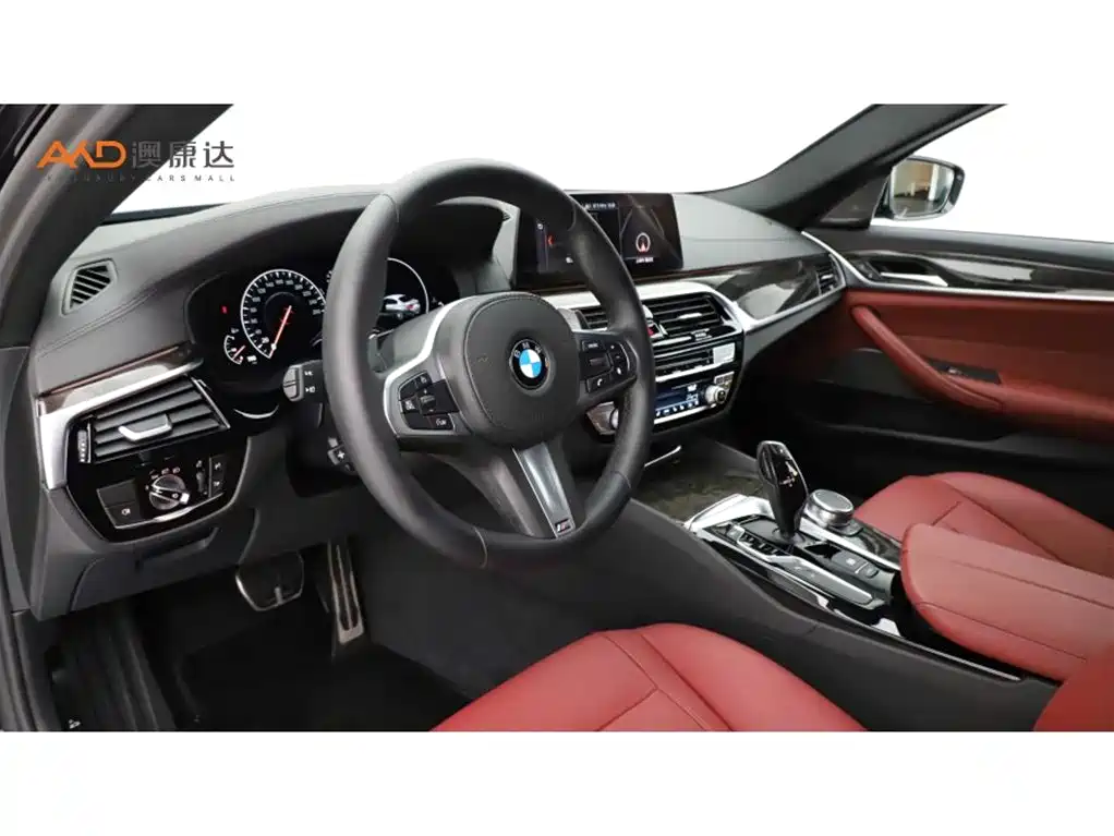 BMW 5 Series 2019 Facelift 530Li Premium M Sport Package фото 6