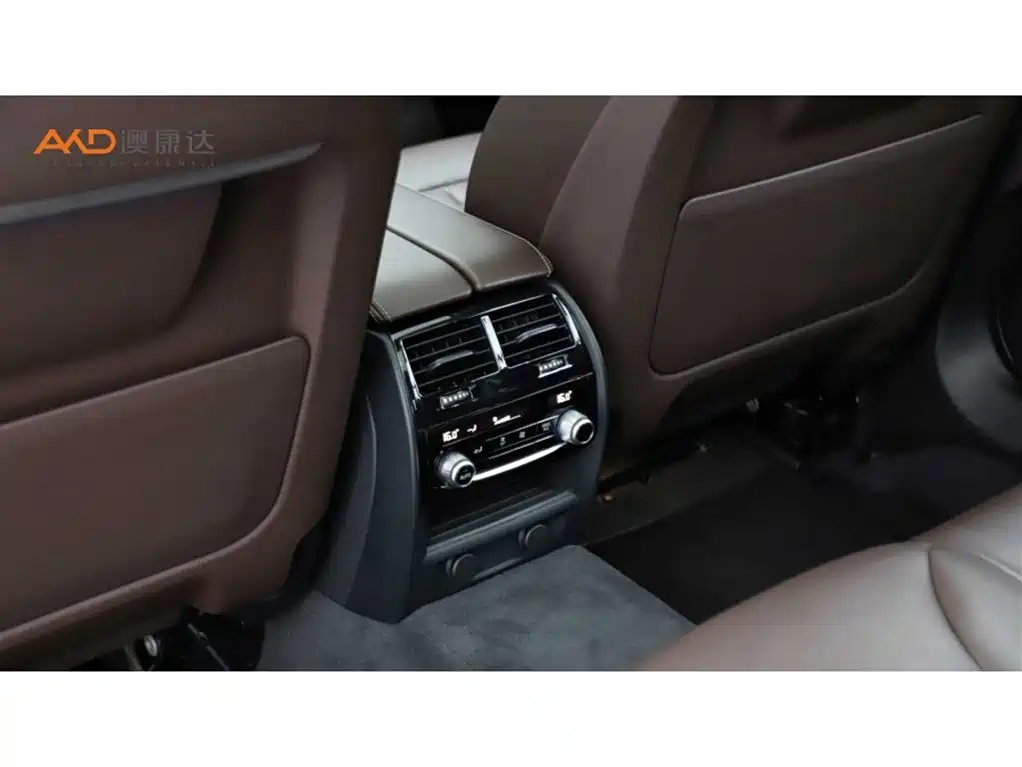 BMW 5 Series 2019 Facelift 530Li Premium Luxury Package фото 9
