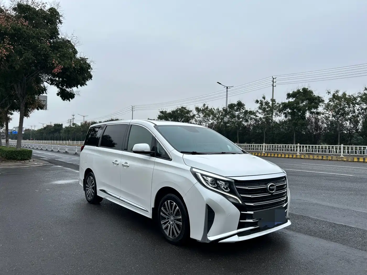 GAC Trumpchi Trumpchi M8 2021 Leading Show Series 390T Prestige Edition фото 7