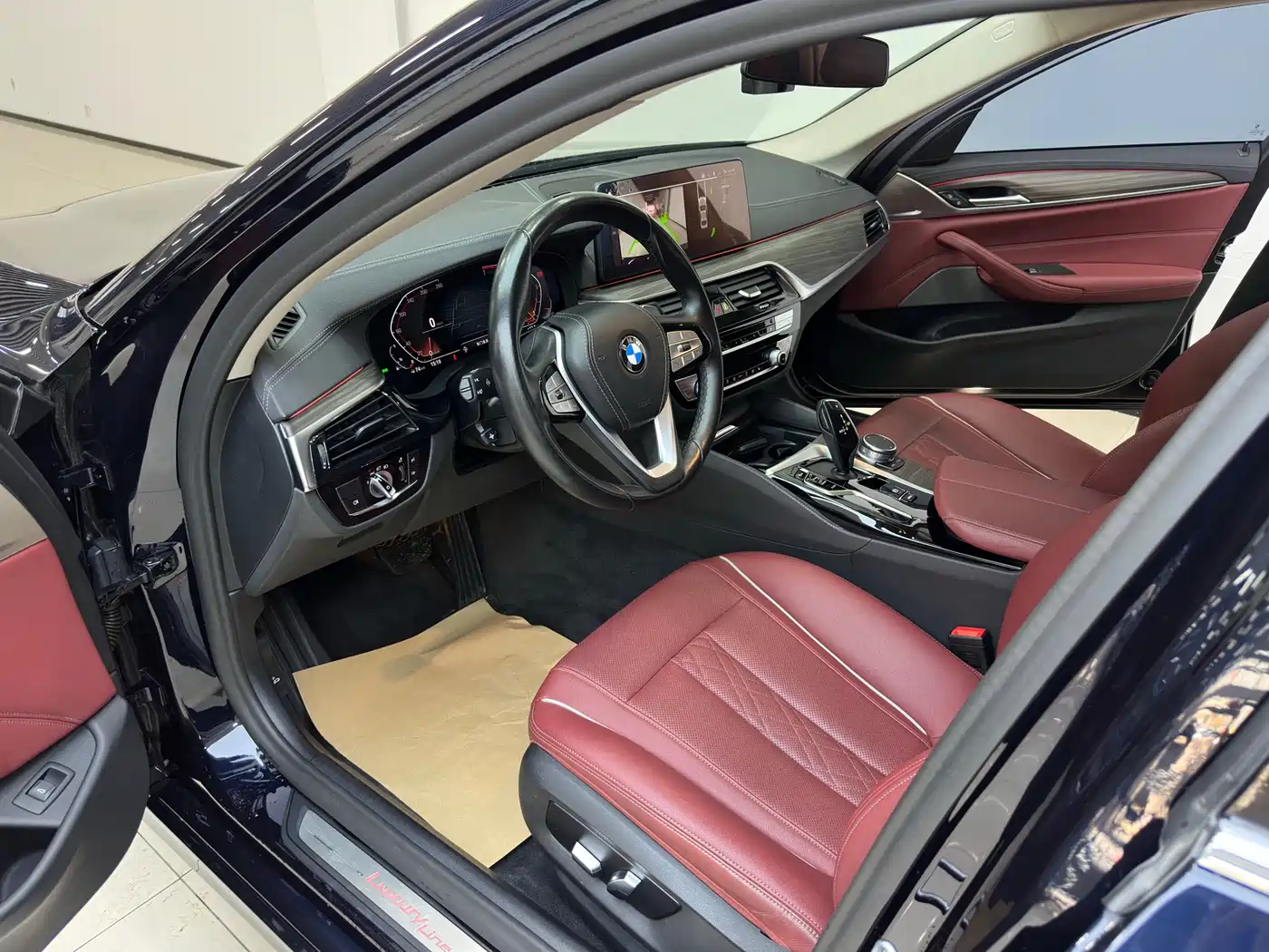BMW 5 Series 2021 530Li Leading Luxury Package фото 12