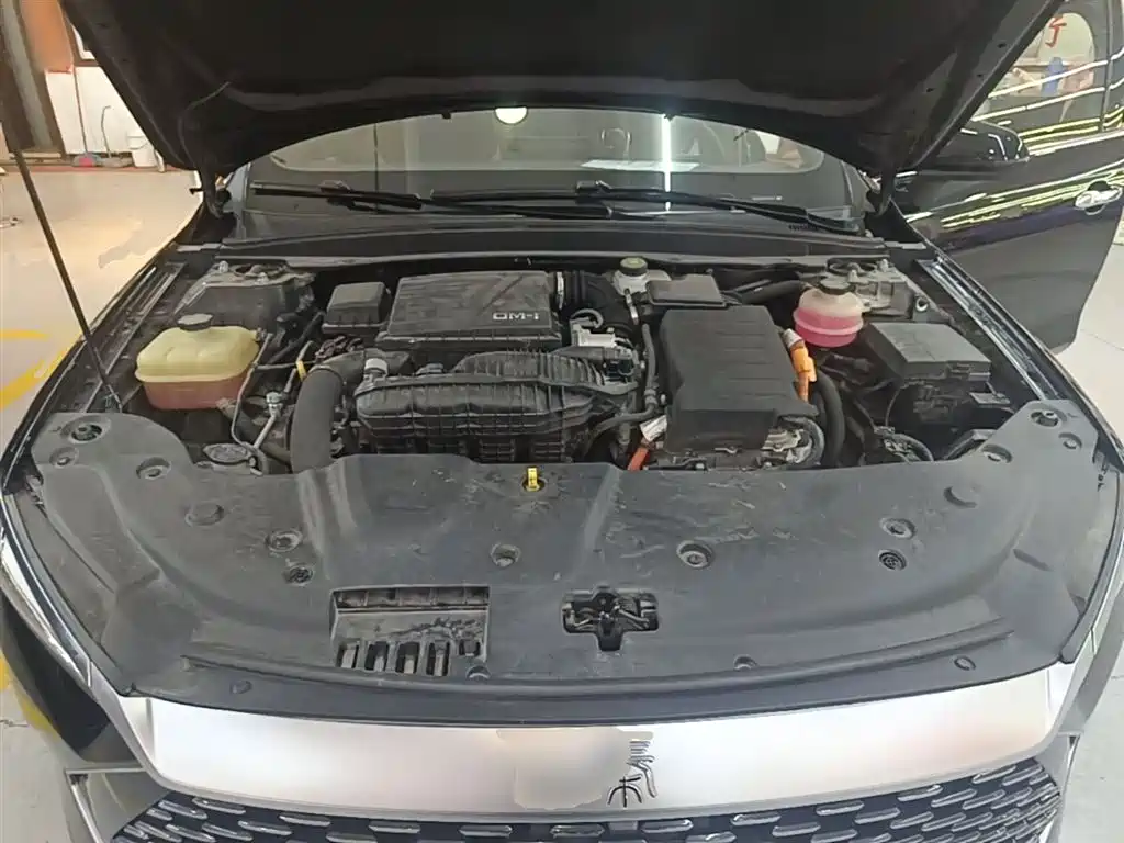 BYD Qin PLUS 2021 DM-i 55KM Flagship фото 19