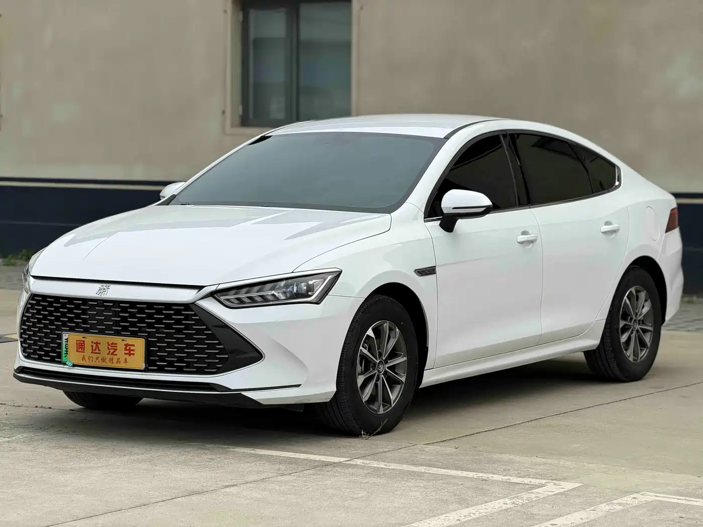 BYD Qin PLUS 2024 Glory Edition DM-i 55KM Leading