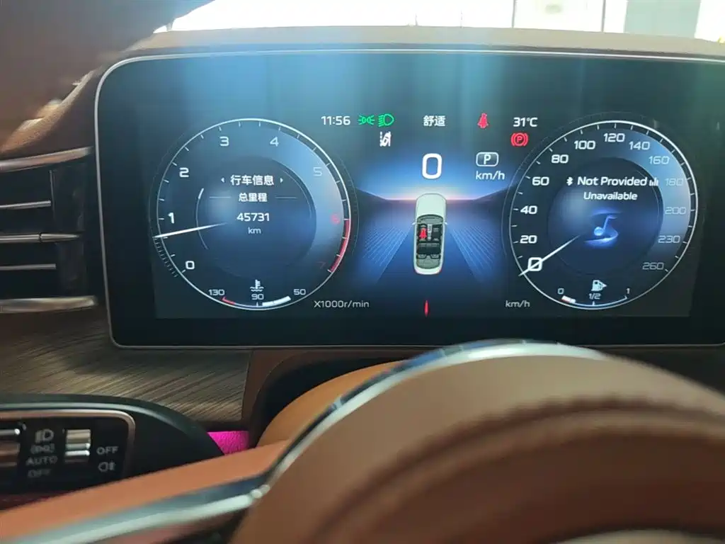 Hongqi H9 2020 3.0T Smart Connection Qi Chang Edition фото 12