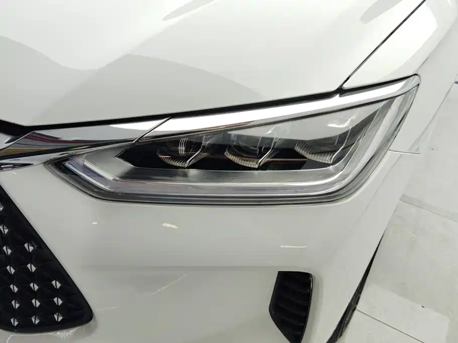 BYD e2 2022 2021 Luxury Edition