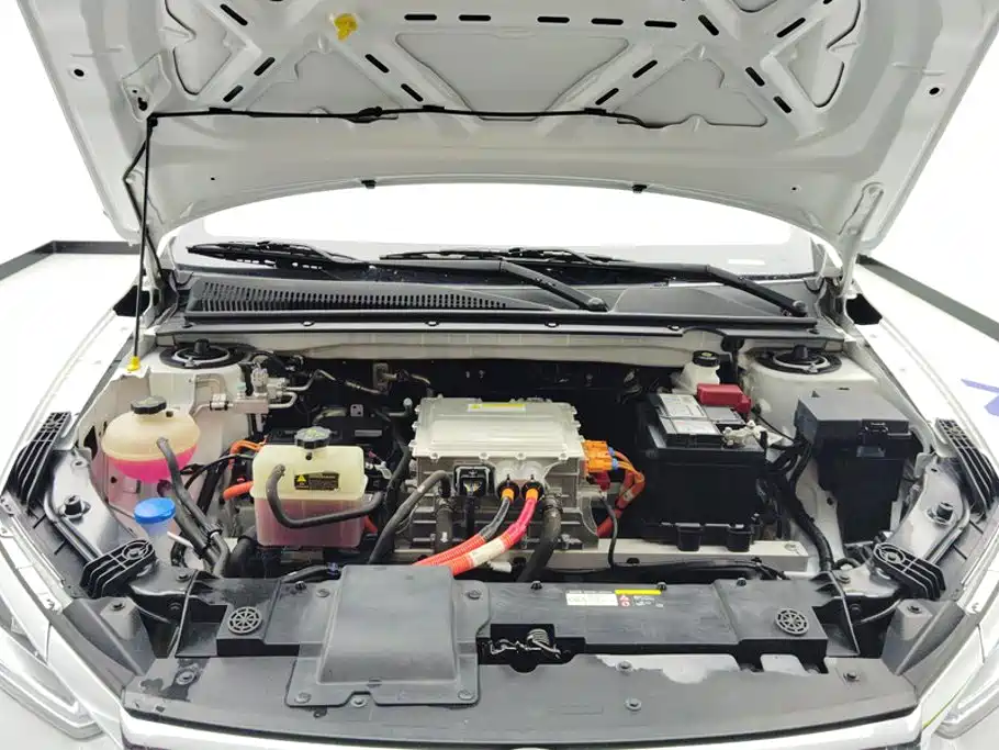 BYD e2 2022 2021 Luxury Edition