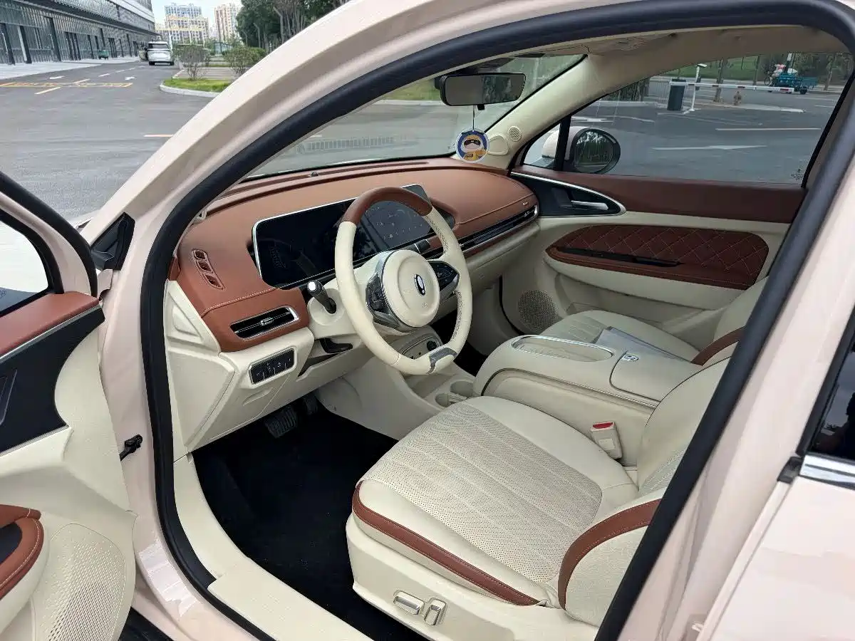 Ora Good Cat 2024 2023 401km Standard Range Premium LFP