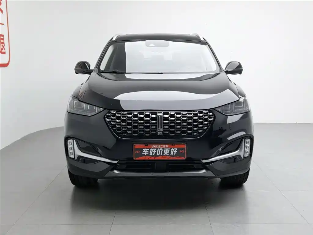 WEI PAI WEI BRAND VV6