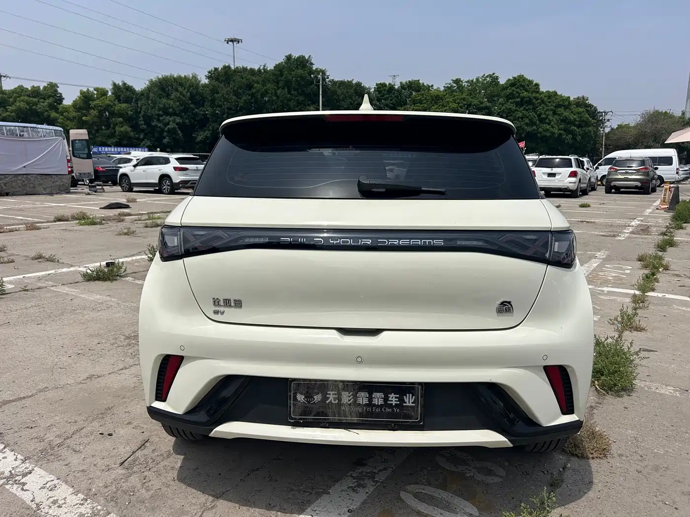 BYD Dolphin 2023 420km Fashion Edition фото 6