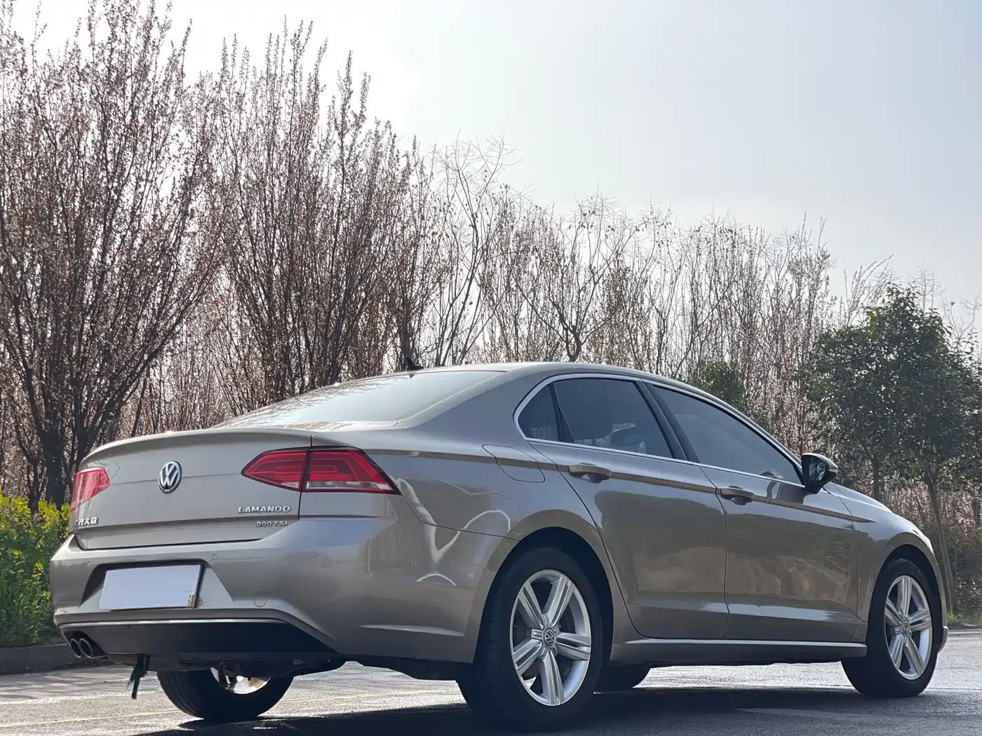 Volkswagen Lamando 2017 280TSI DSG Comfort Edition фото 6