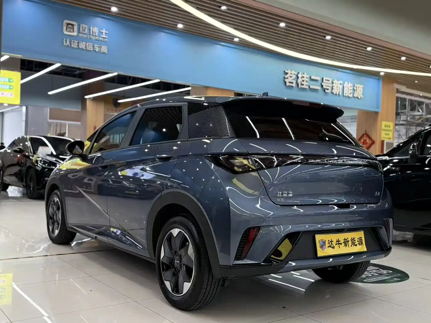 BYD Dolphin 2026 2025 420km Freedom Edition