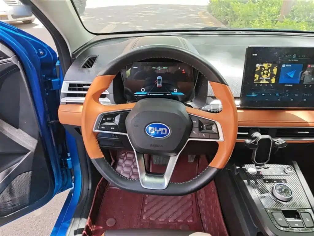 BYD e2 2021 Luxury Edition фото 11