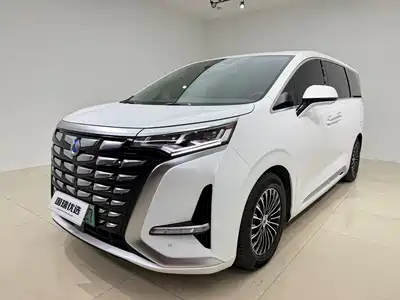 Denza D9