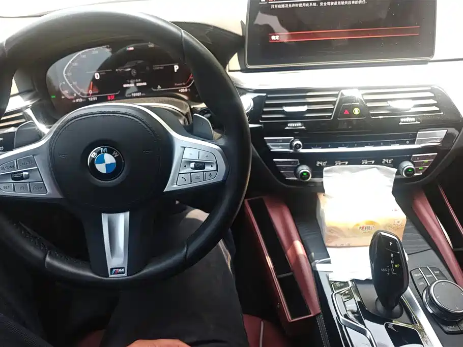 BMW 5 Series 2023 530Li Leading M Sport Package фото 12