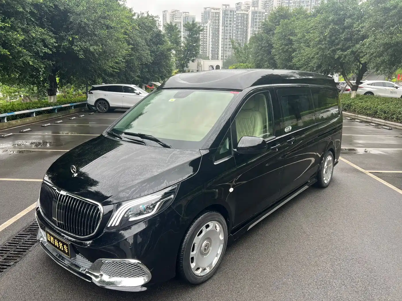 Mercedes-Benz Vito 2018 2.0T Business Edition China VI фото 2