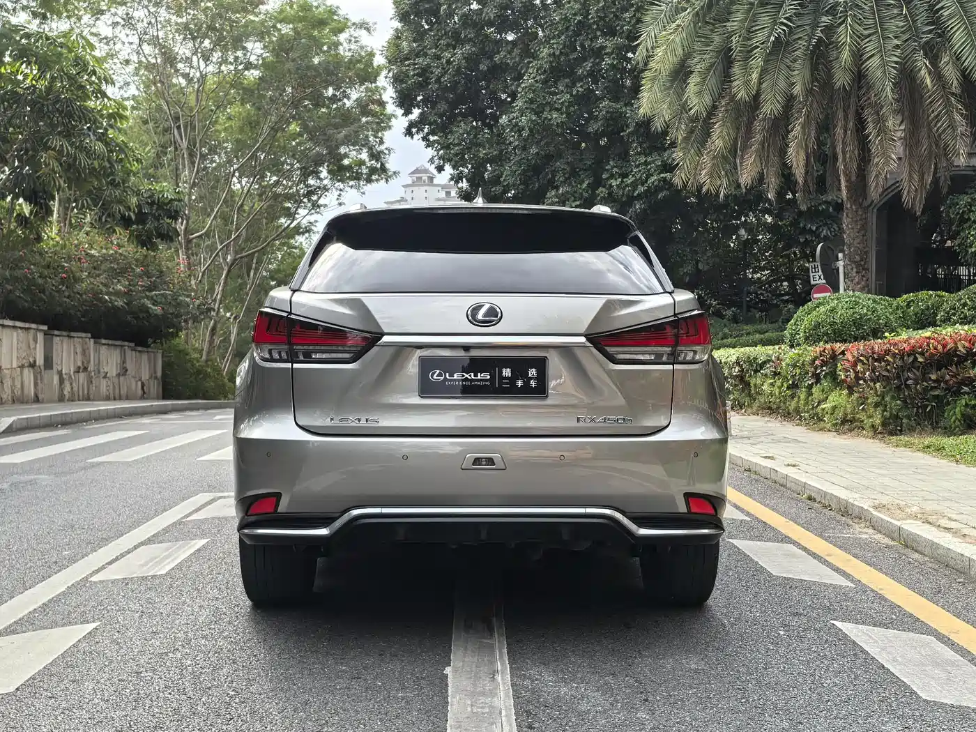 Lexus RX 2020 Facelift 450h AWD Elegance Edition фото 10