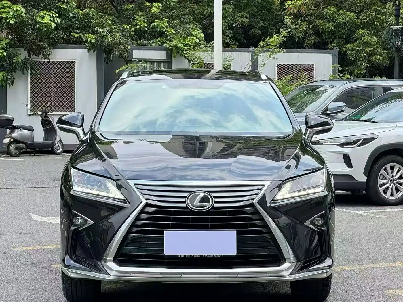 LEXUS RX