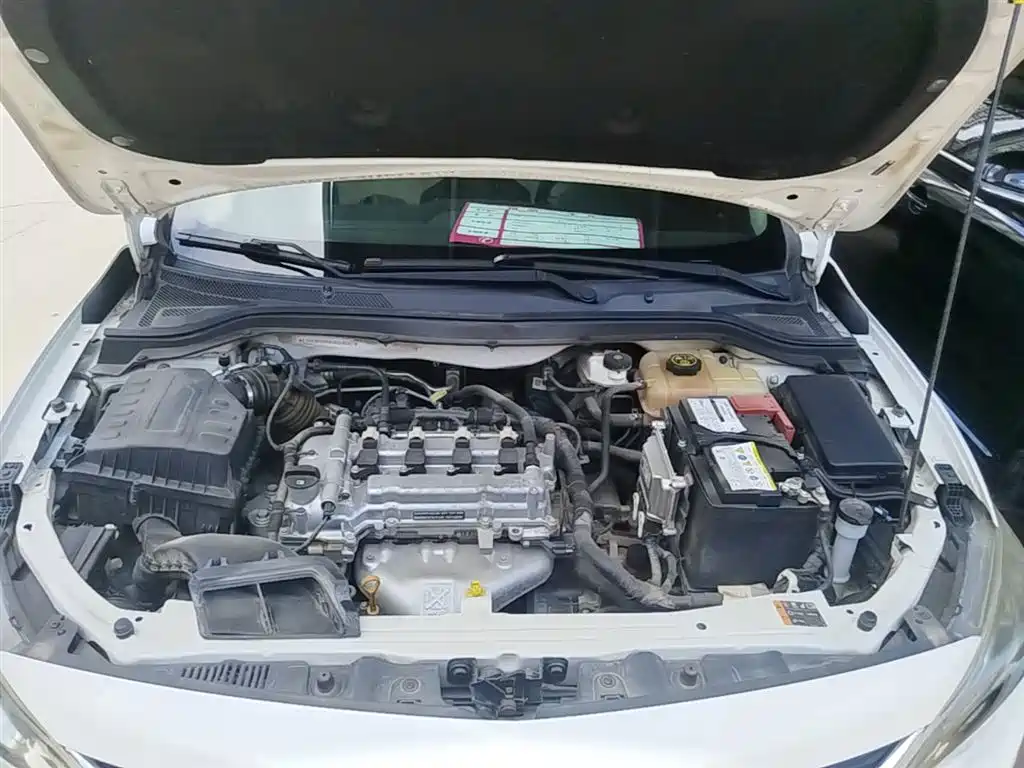 Chevrolet Cavalier 2019 320 Auto Sunroof Enjoyment Edition фото 20