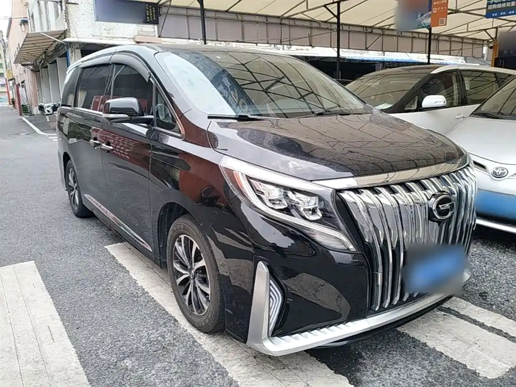 GAC Trumpchi Trumpchi M8 2021 Leading Show Series 390T Luxury Edition фото 4