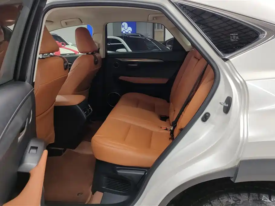 Lexus NX 2016 200 Special Limited Edition фото 11