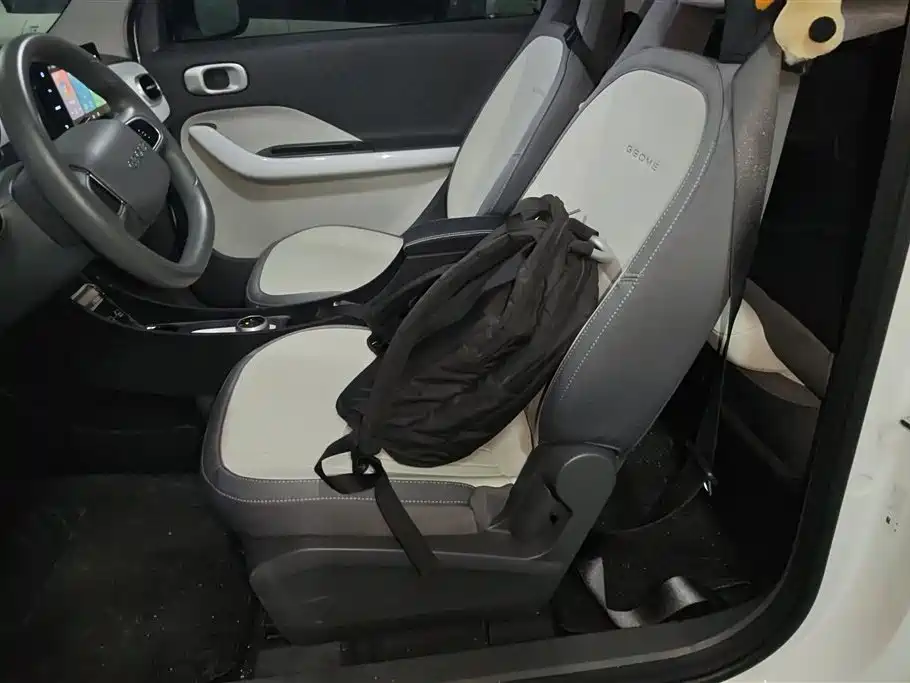 Geely Galaxy Panda 2025 Model Year 210km Panda Kart фото 9