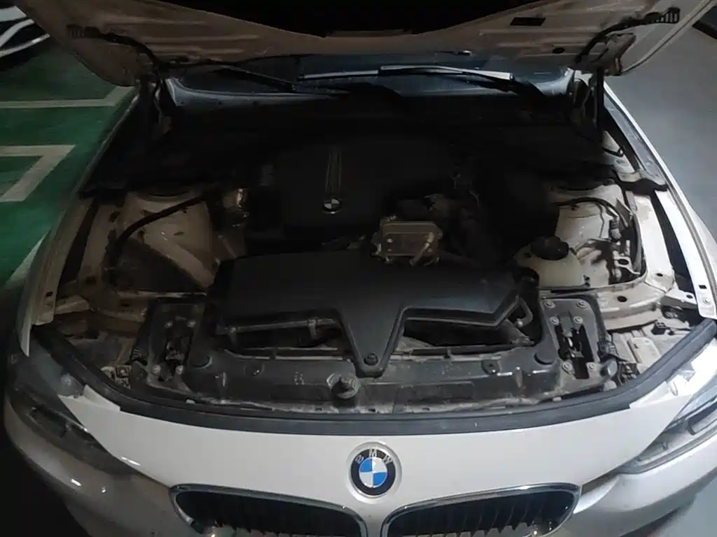 BMW 3 Series 2016 320Li Fashion Model фото 20