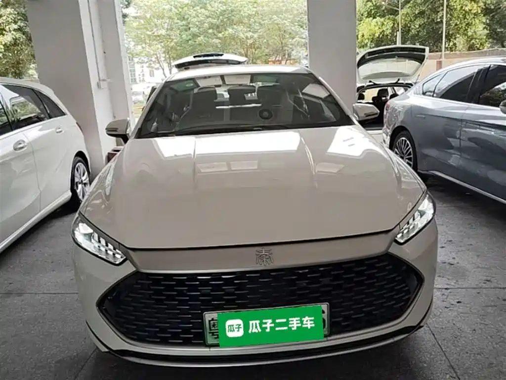 BYD Qin PLUS 2024 Glory Edition DM-i 55KM Leading фото 3