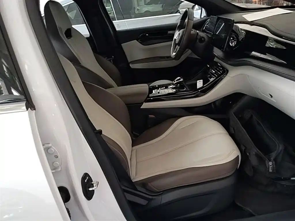 BYD Qin PLUS 2024 Glory Edition DM-i 55KM Leading фото 25