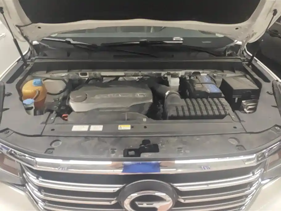 GAC Trumpchi Trumpchi GS8 2017 320T 2WD Luxury Edition (7-Seater) фото 10
