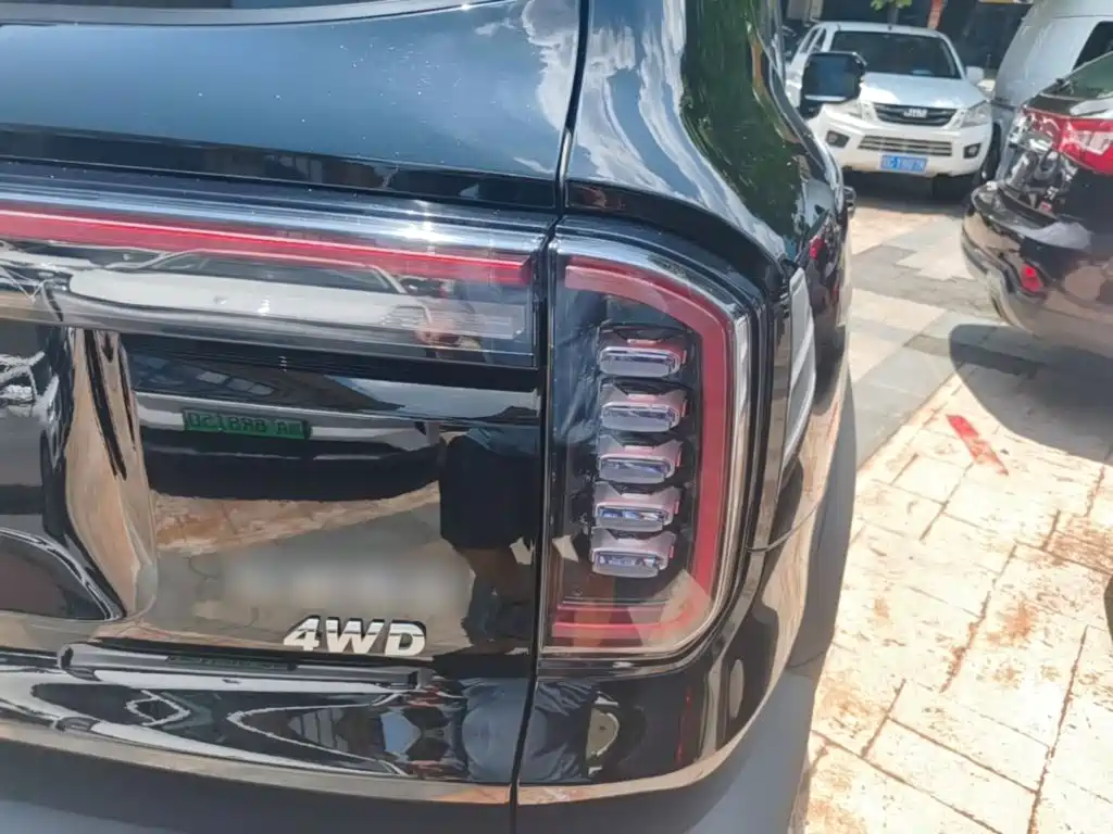 Haval Dargo 2024 2024 2.0T DCT Chinese Rural Dog Edition