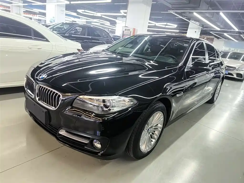 BMW 5 Series 2014 525Li Leading фото 2