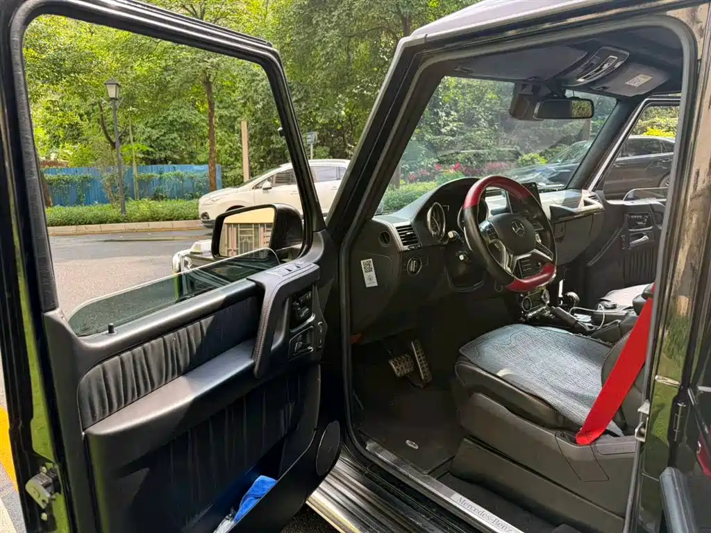 Mercedes-Benz G-Class 2017 G 500 фото 14