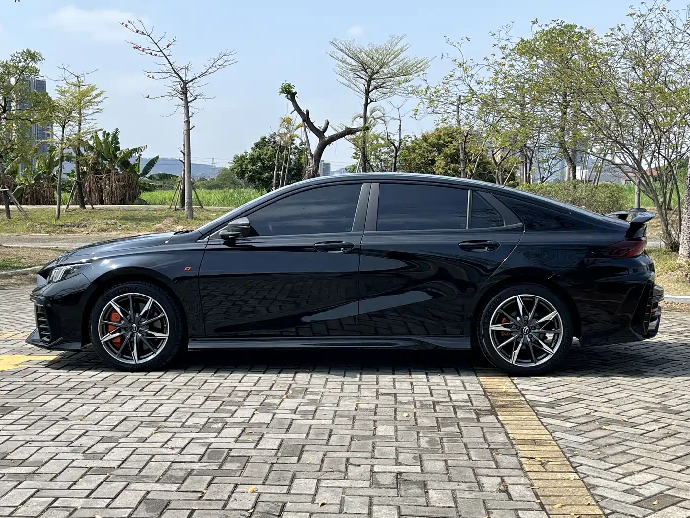 GAC TRUMPCHI SHADOW LEOPARD