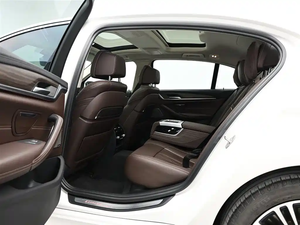 BMW 5 Series 2019 530Li Premium Luxury Package фото 14