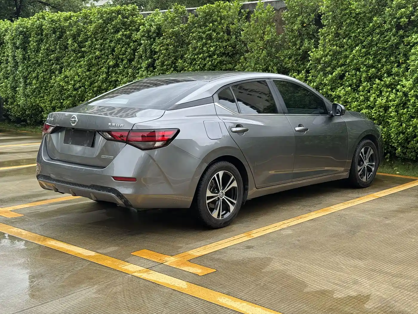 Фото 9 - Nissan Sylphy