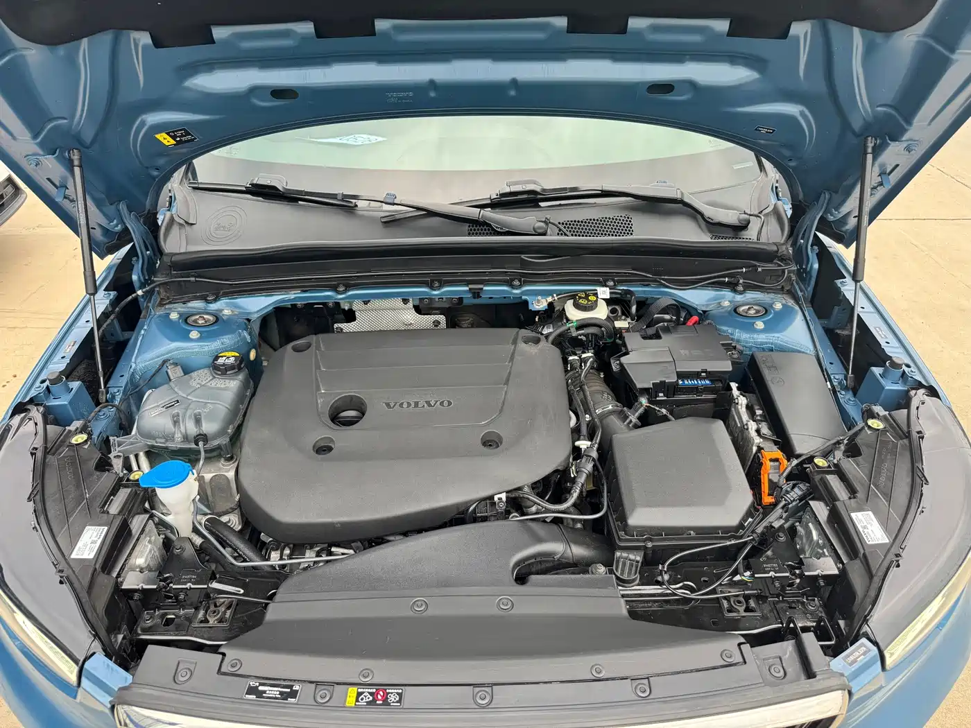 Volvo XC40 2024 2024 B3 Smart Elite Sport Edition