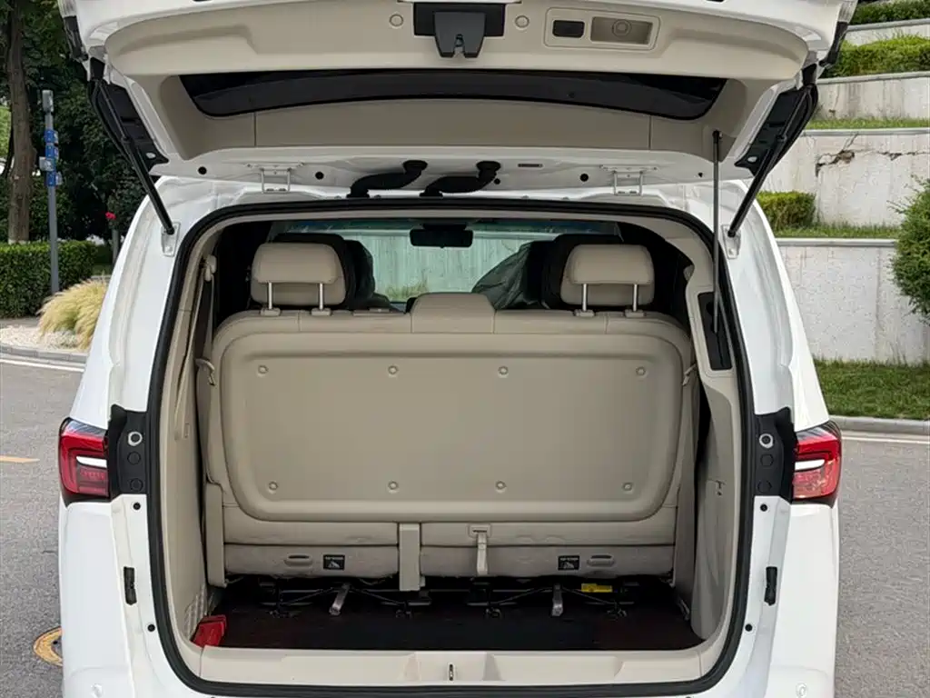 Buick GL8 2021 Land Business Class 652T Premium фото 3