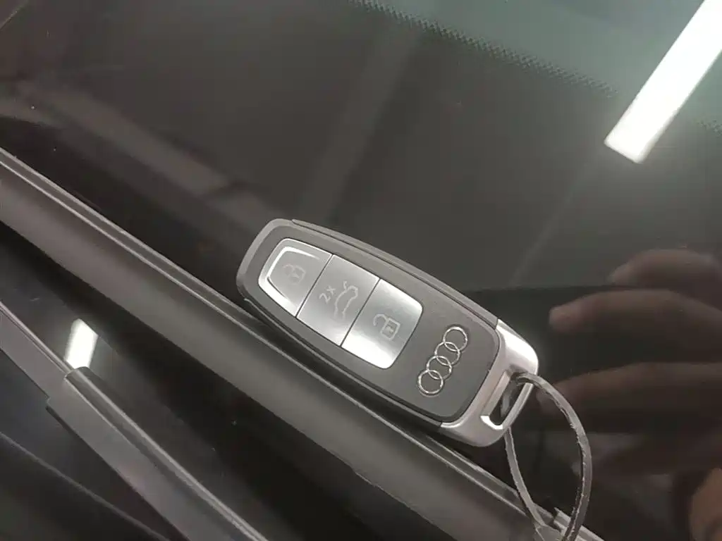 Audi Q5 e-tron 2023 40 e-tron Starlight Edition Brocade Package фото 9