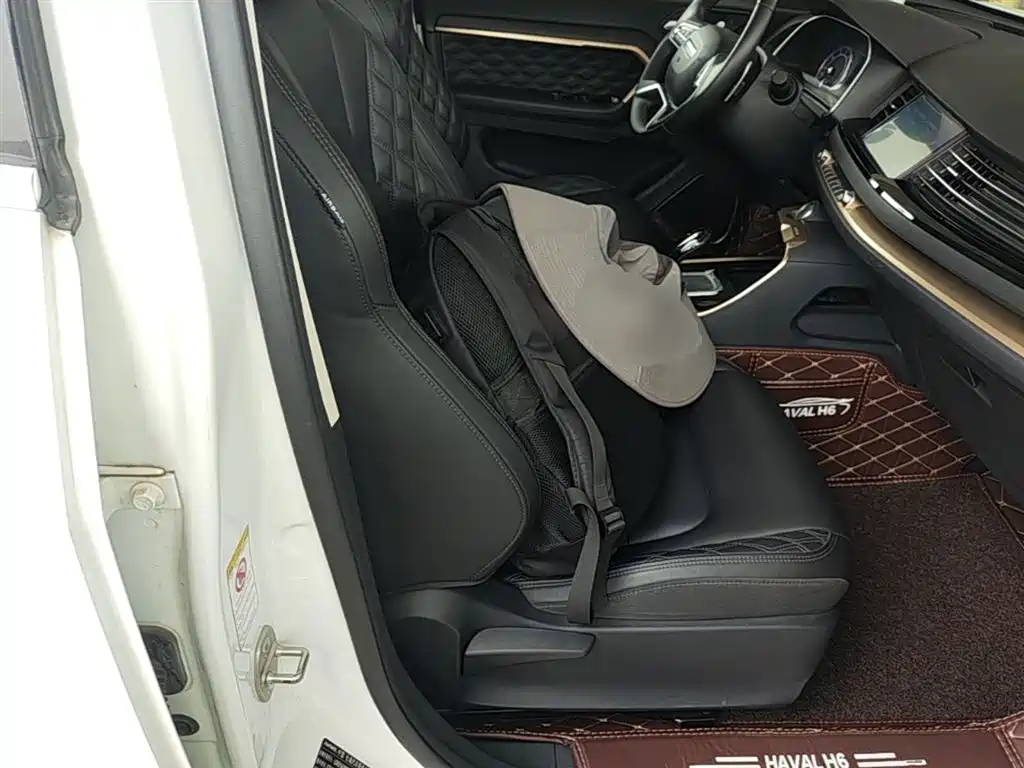 Haval H6 2020 1.5GDIT Automatic Platinum Champion Edition фото 25