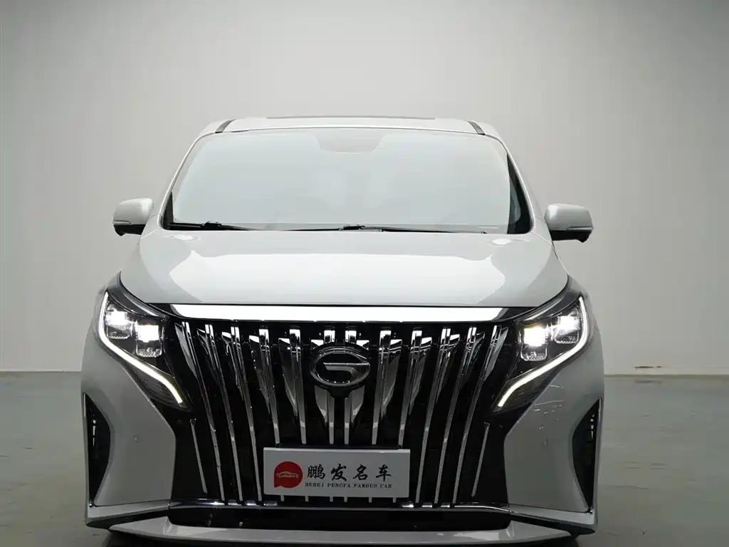 GAC Trumpchi Trumpchi M8 2021 Leading Show Series 390T Ultimate Edition фото 2