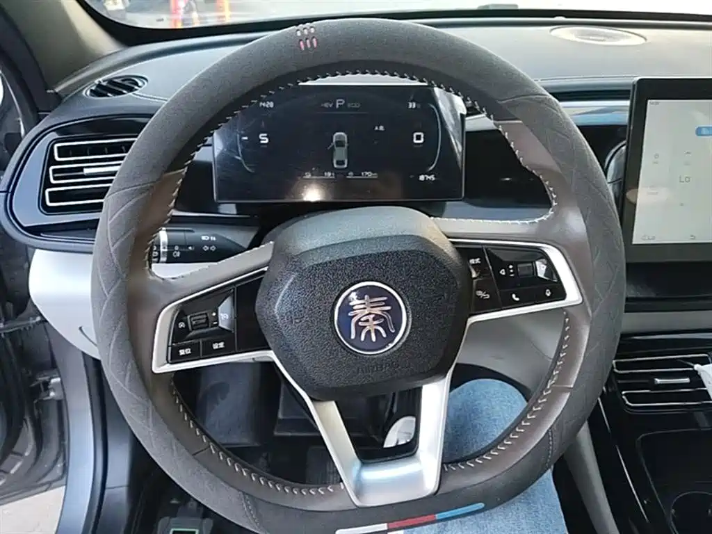 BYD Qin PLUS 2023 Champion Edition DM-i 55KM Leading фото 11