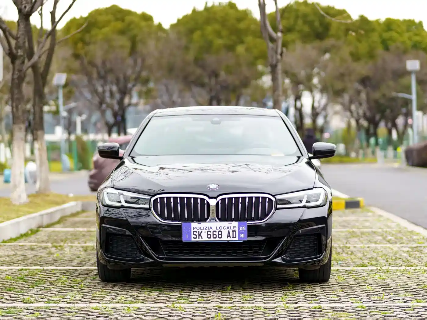 BMW 5 Series 2021 530Li Leading M Sport Package фото 2