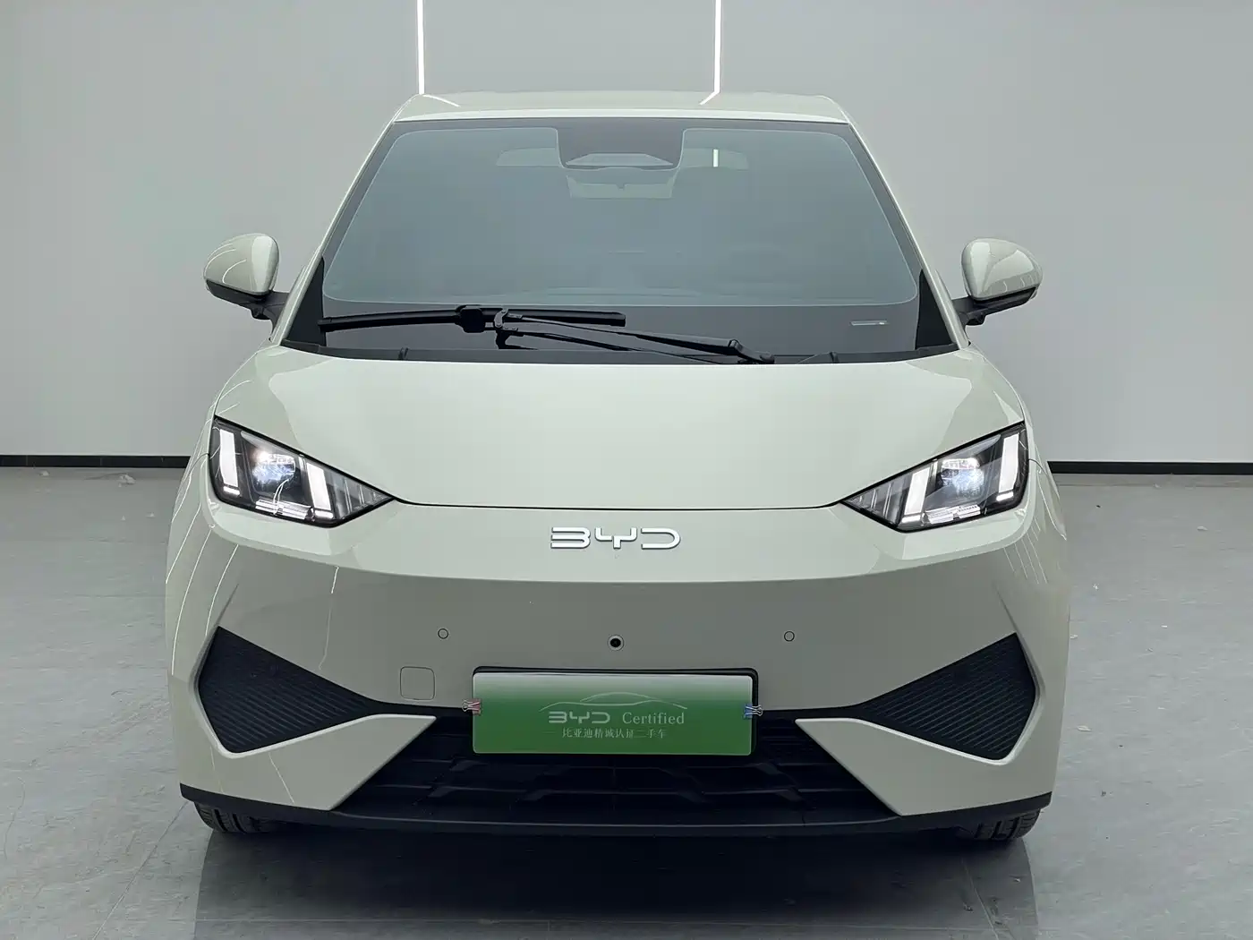 BYD Seagull 2025 Smart Drive Edition 305km Freedom Version фото 2