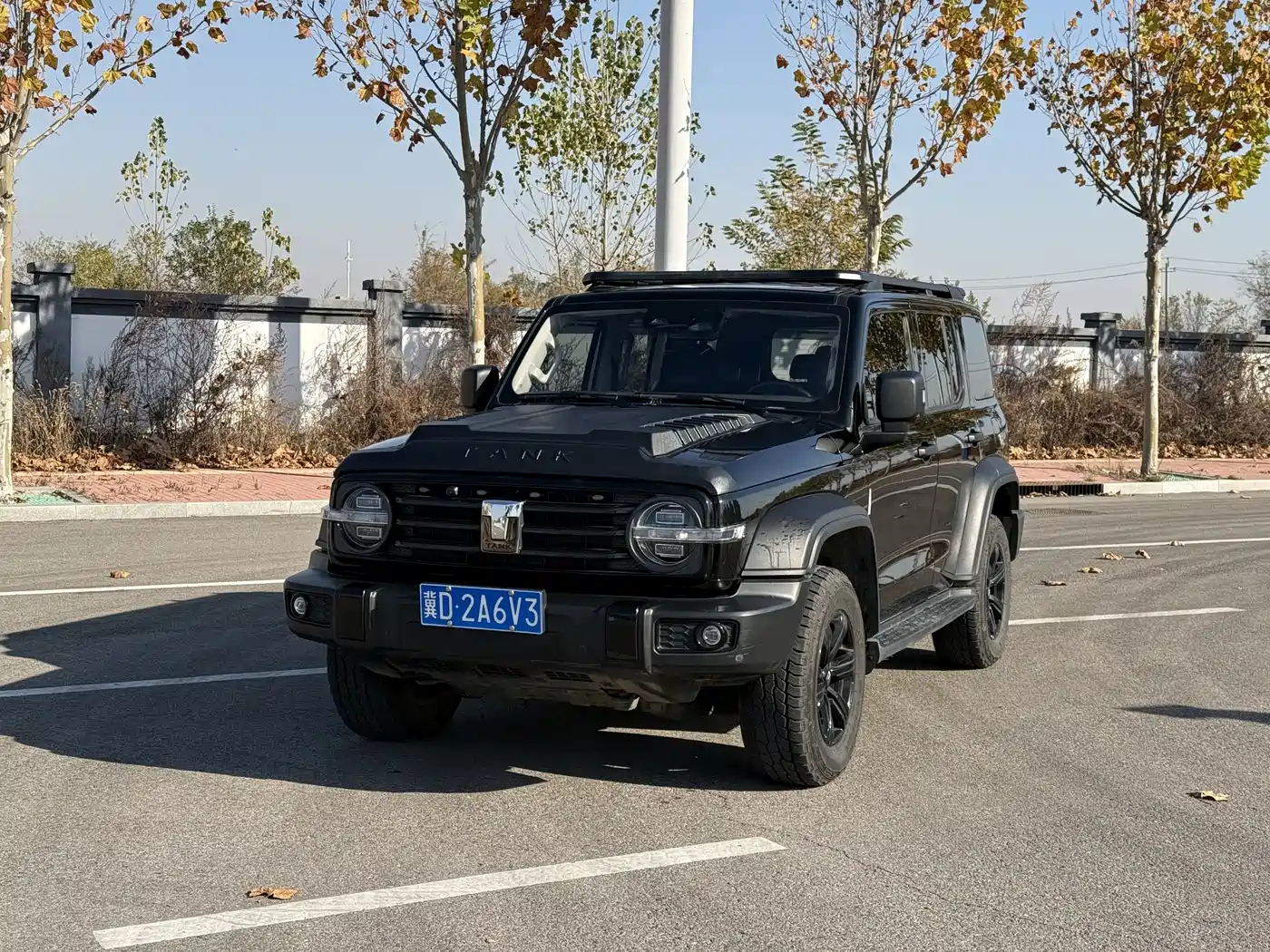 Tank 300 2021 Off-road Version 2.0T Conqueror фото 3