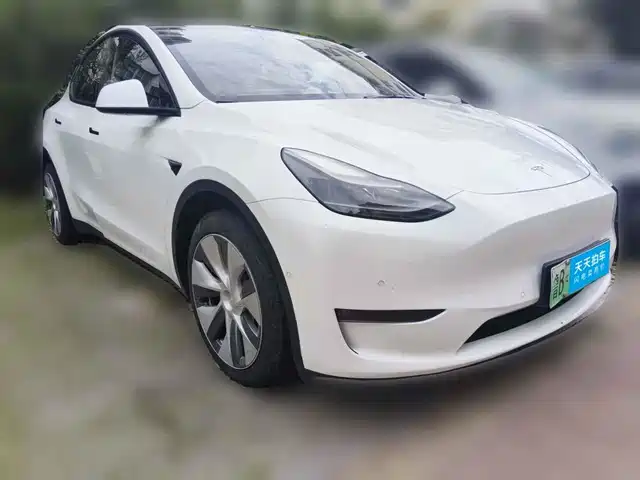 Tesla Model Y 2022 Long Range AWD — фото 3