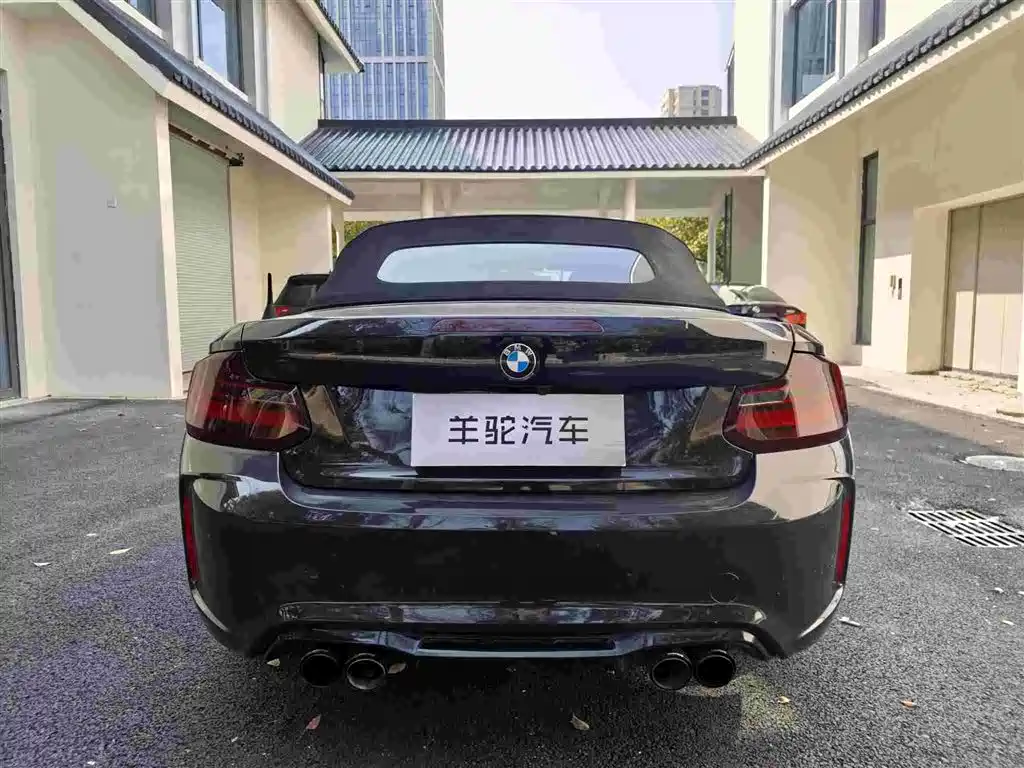 BMW 2 Series (Import) 2015 218i Convertible Coupe фото 16