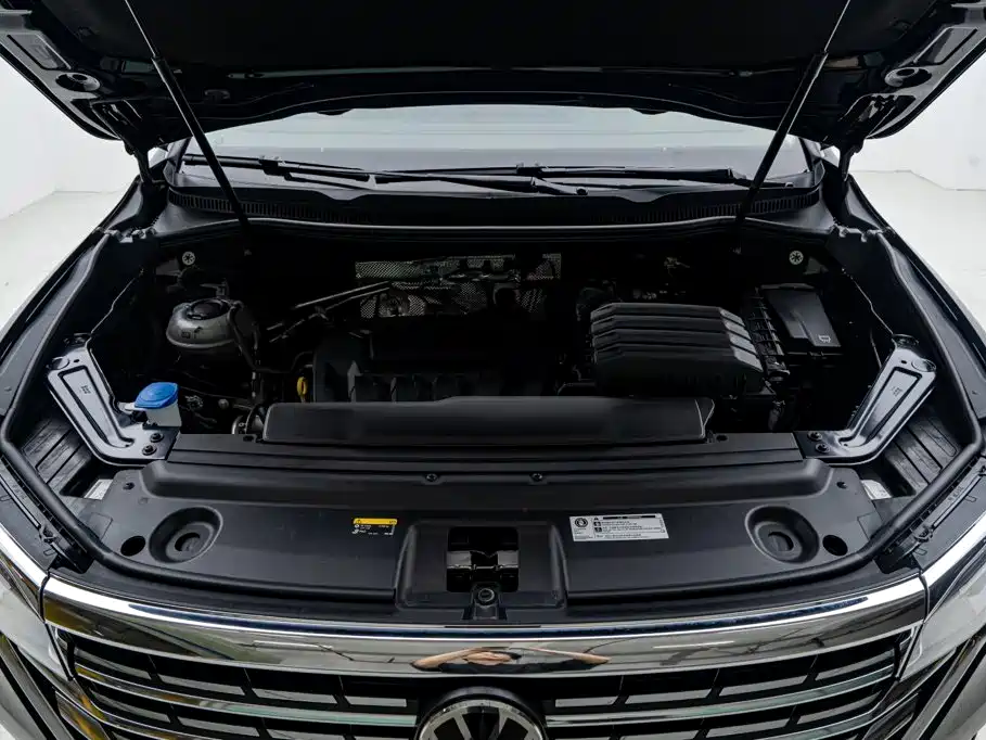 Фото 29 - Volkswagen Viloran