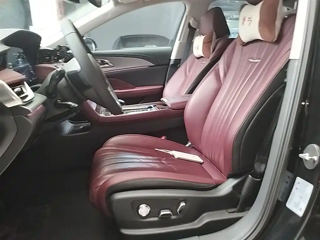Hongqi H5 2023 2.0T Auto Smart Connect Flag Comfort фото 11